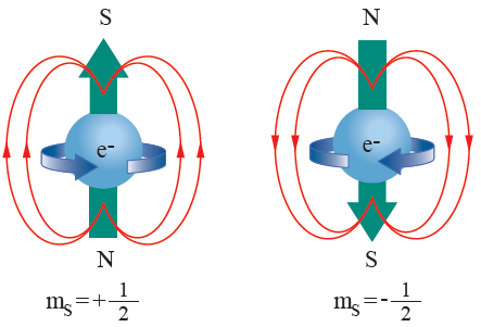 عدد الكم المغزلي عدد الكم المغزلي